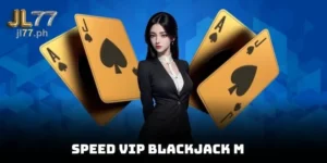 Speed ​​VIP Blackjack M
